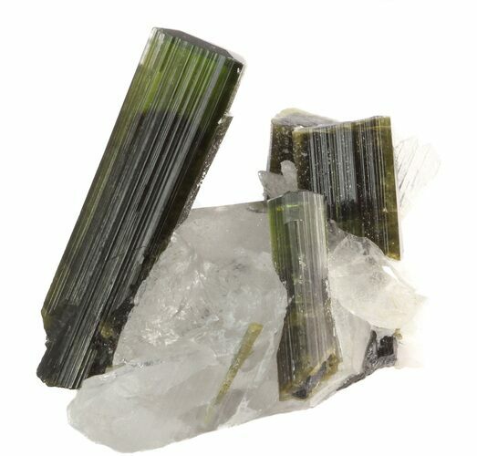 Beautiful, Green Tourmaline Crystals in Quartz - Pakistan #45916